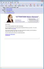 Salon Advantage e-newsletter designs